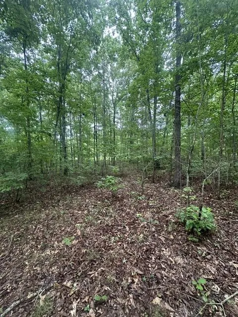 198 Kyuga Drive South Pittsburg, TN 37380