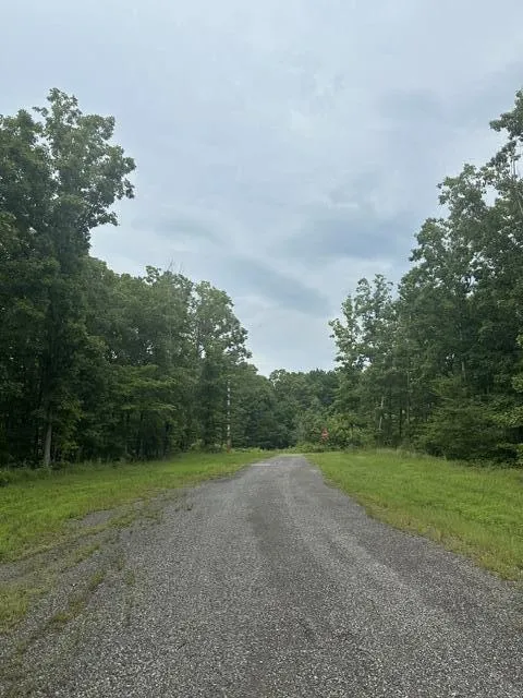 198 Kyuga Drive South Pittsburg, TN 37380