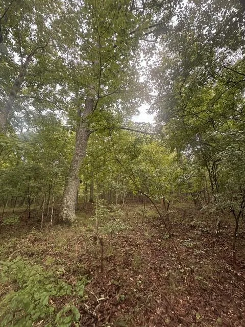 108 Chesadu Circle Circle South Pittsburg, TN 37380