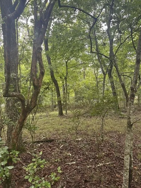 108 Chesadu Circle Circle South Pittsburg, TN 37380