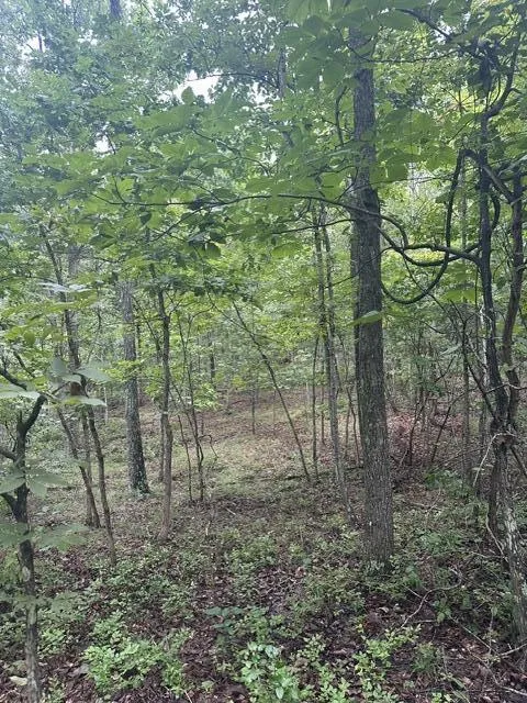 108 Chesadu Circle Circle South Pittsburg, TN 37380