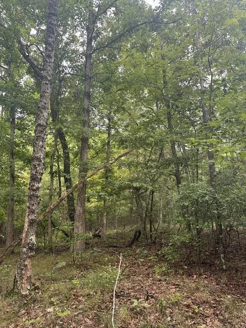 108 Chesadu Circle Circle South Pittsburg, TN 37380