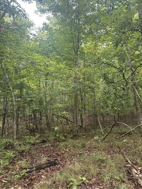 108 Chesadu Circle Circle South Pittsburg, TN 37380