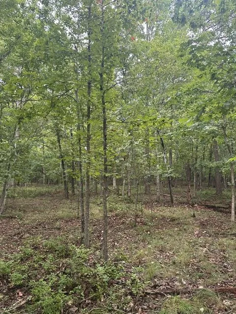 108 Chesadu Circle Circle South Pittsburg, TN 37380
