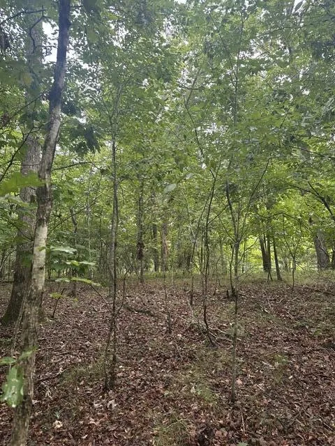 108 Chesadu Circle Circle South Pittsburg, TN 37380