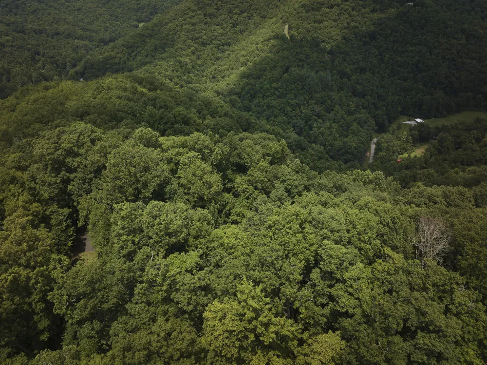 Starry Dr Bryson City, NC 28713