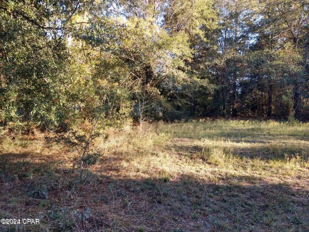 Marian Drive Bonifay, FL 32425