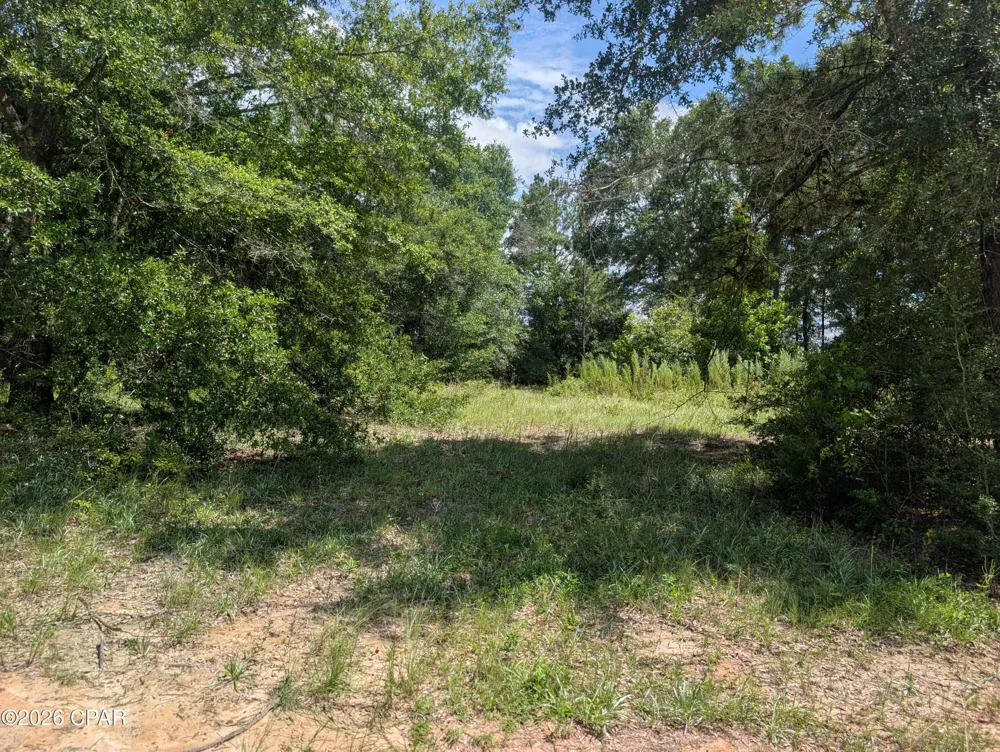 Marian Drive Bonifay, FL 32425