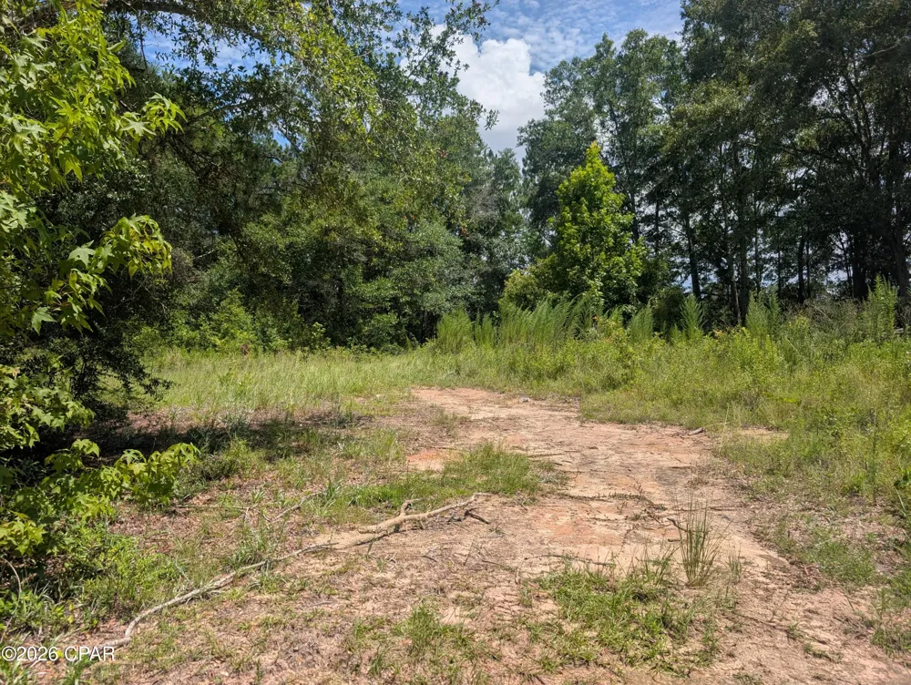 Marian Drive Bonifay, FL 32425