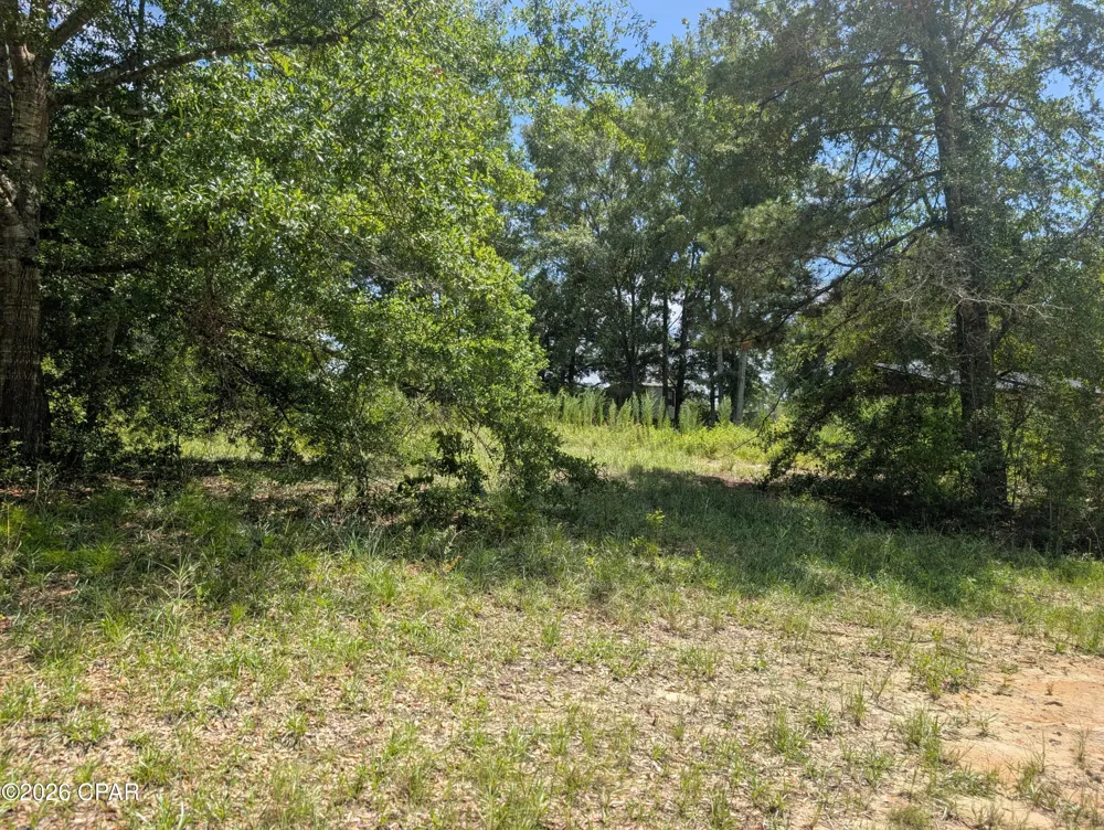 Marian Drive Bonifay, FL 32425