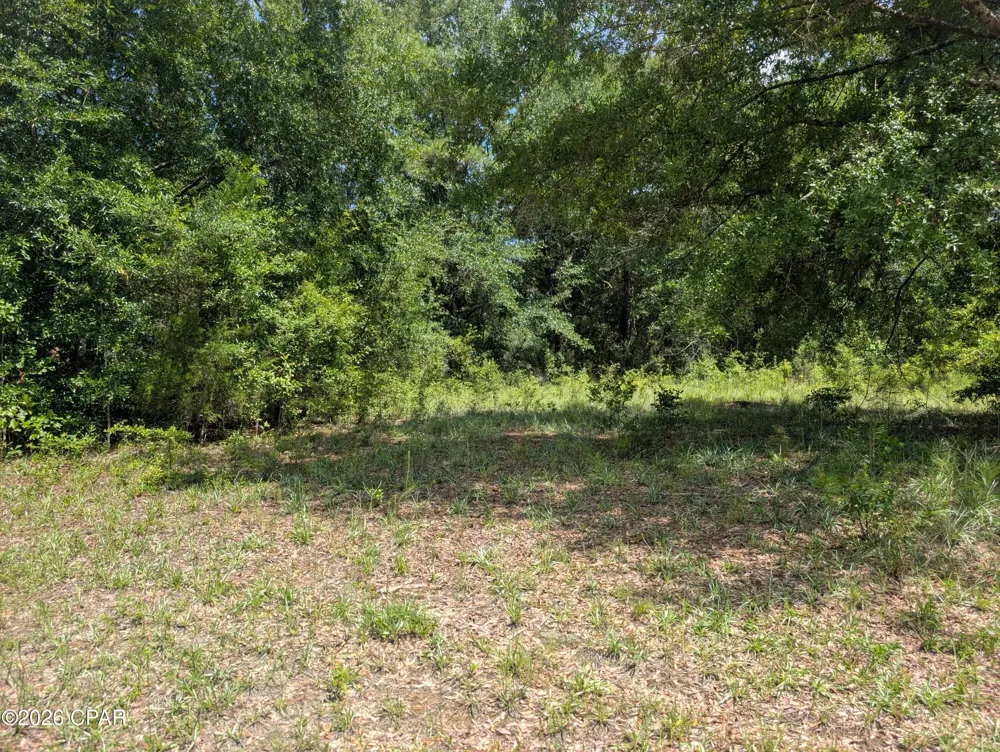 Marian Drive Bonifay, FL 32425
