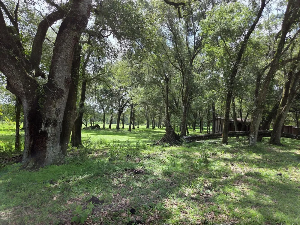 CR 614A Bushnell, FL 33513