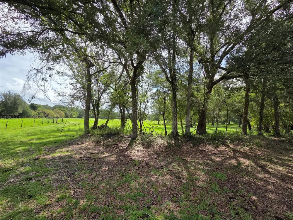 CR 614A Bushnell, FL 33513