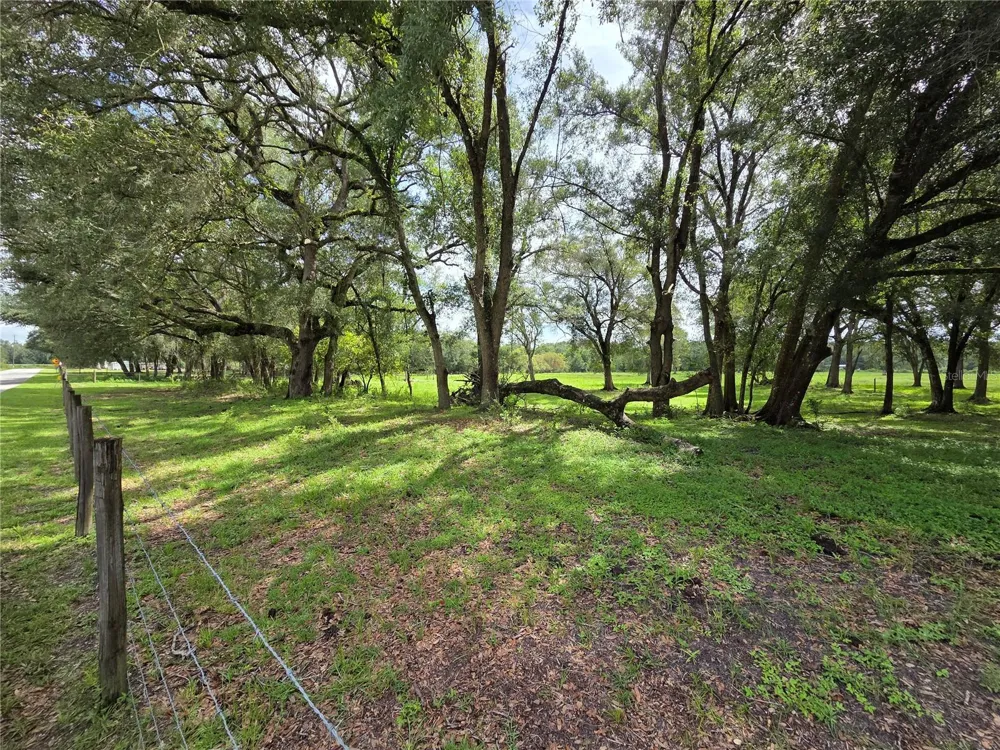 CR 614A Bushnell, FL 33513