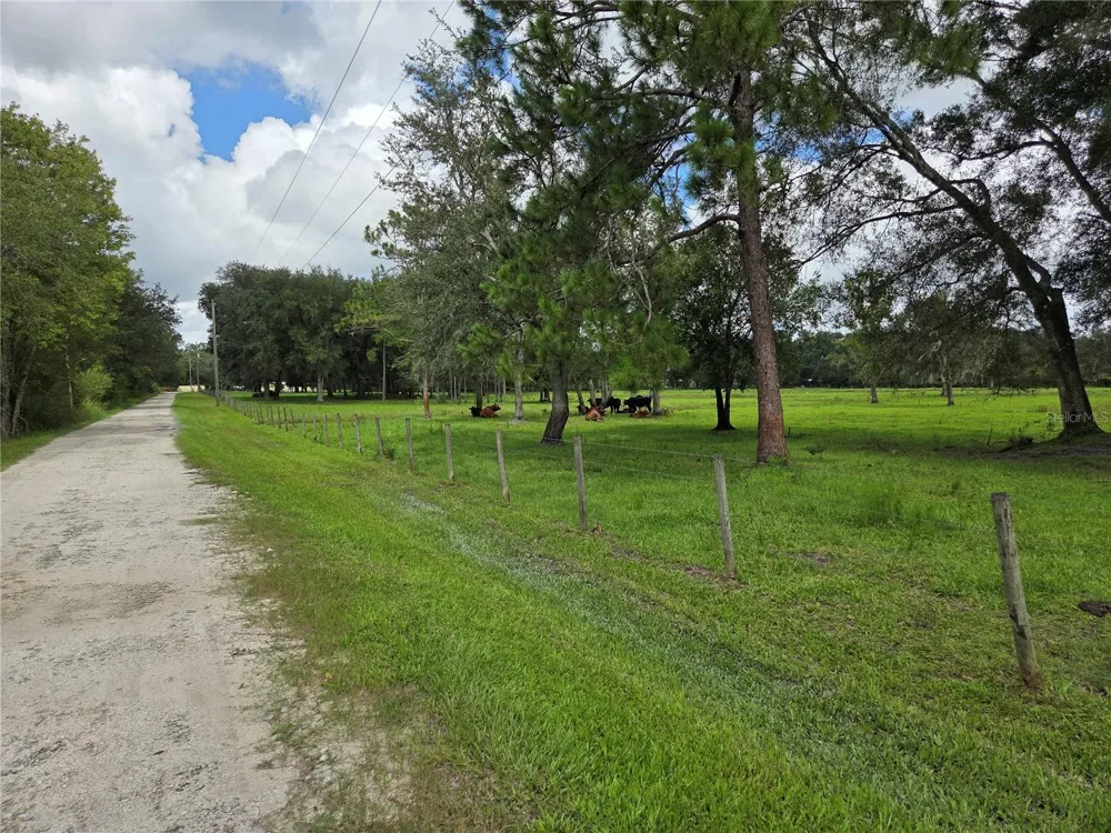 CR 614A Bushnell, FL 33513
