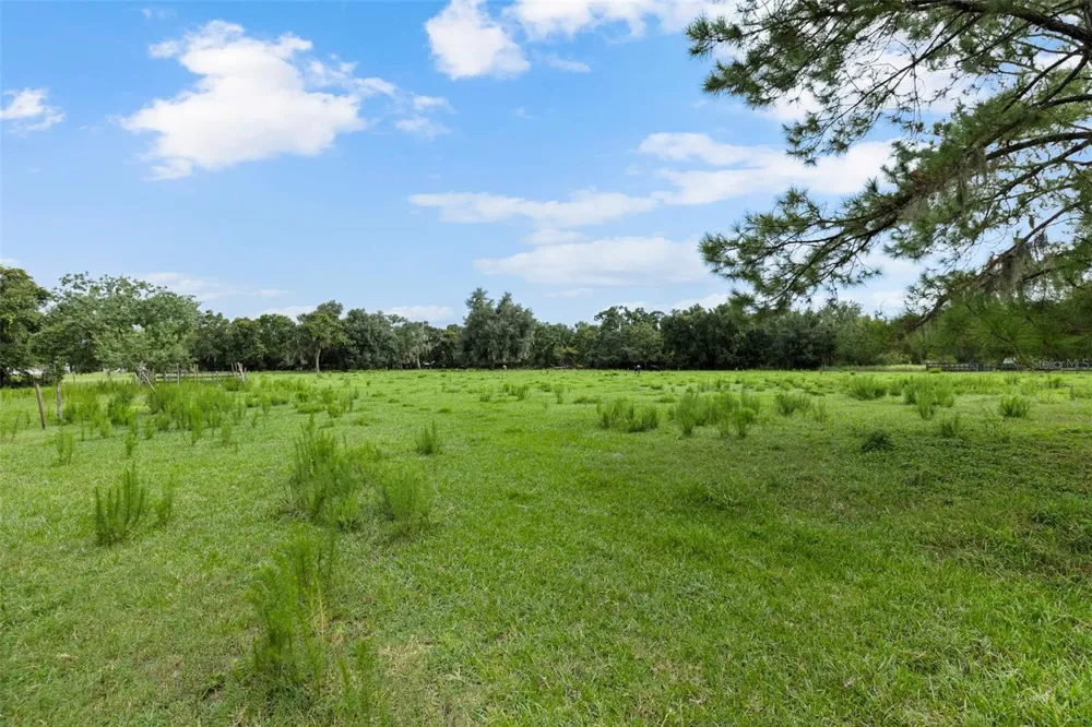 6930 MUCK POND ROAD Seffner, FL 33584