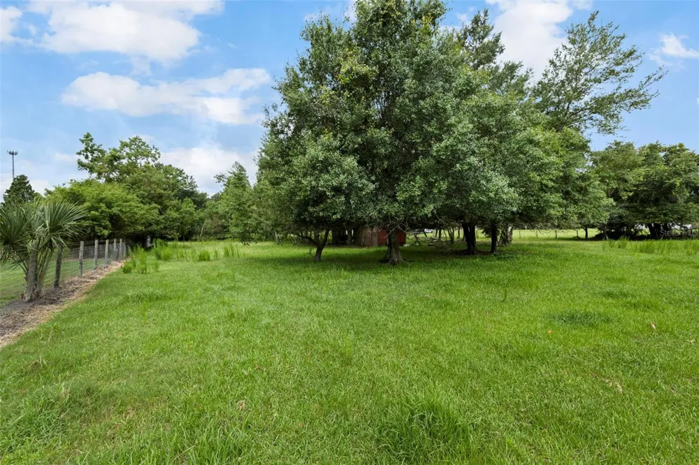 6930 MUCK POND ROAD Seffner, FL 33584