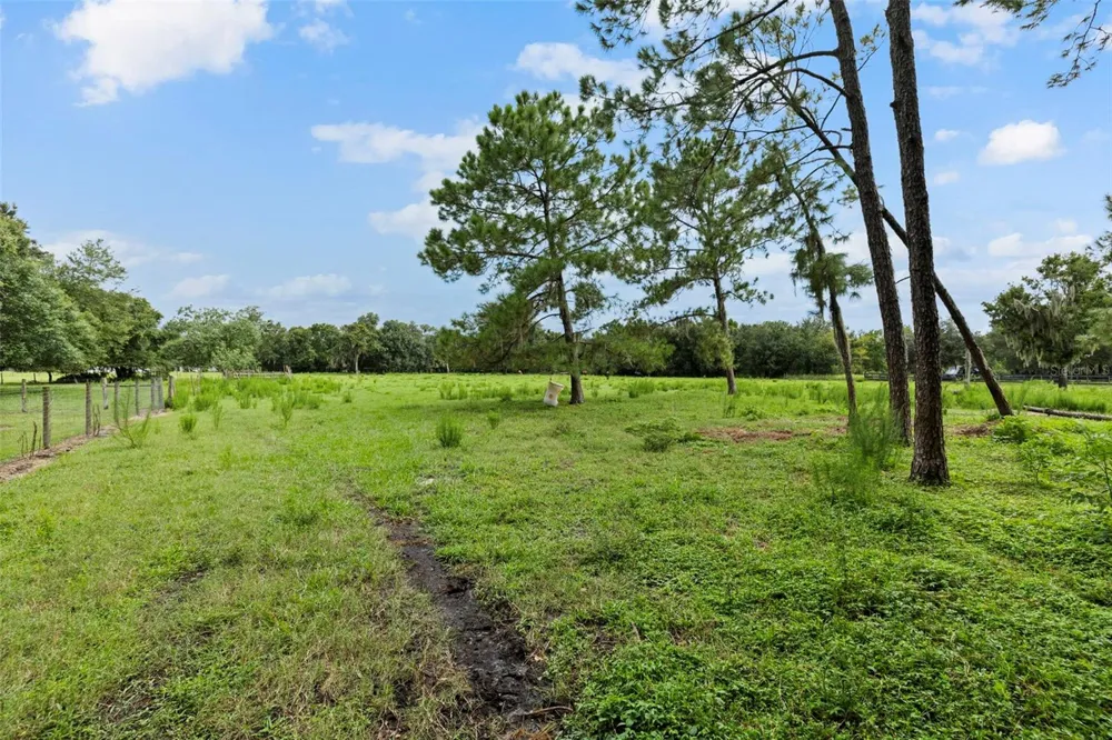 6930 MUCK POND ROAD Seffner, FL 33584
