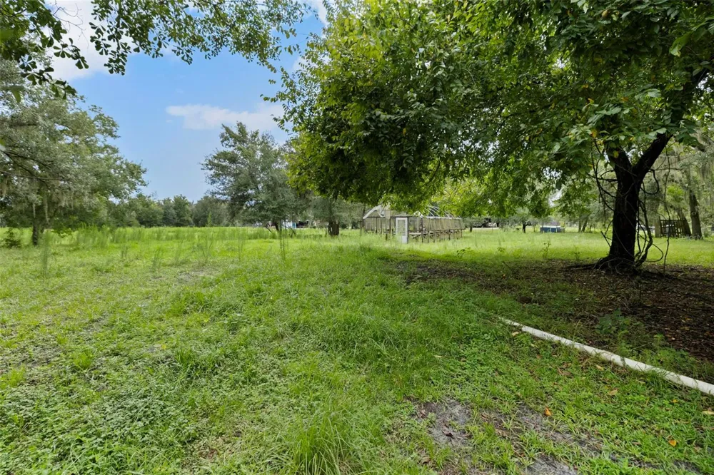 6930 MUCK POND ROAD Seffner, FL 33584