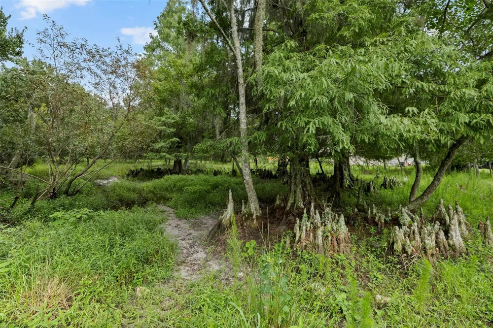 6930 MUCK POND ROAD Seffner, FL 33584