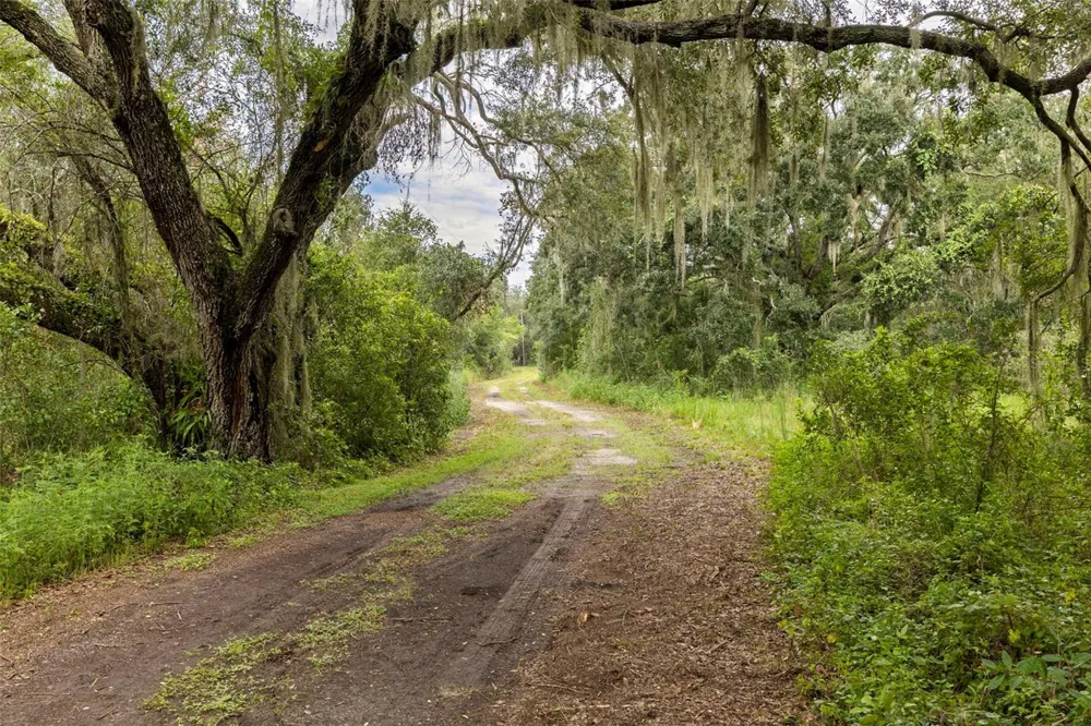 6930 MUCK POND ROAD Seffner, FL 33584