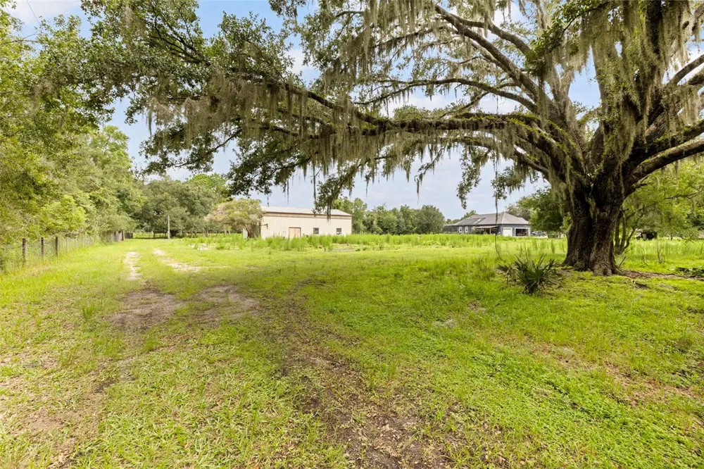 6930 MUCK POND ROAD Seffner, FL 33584