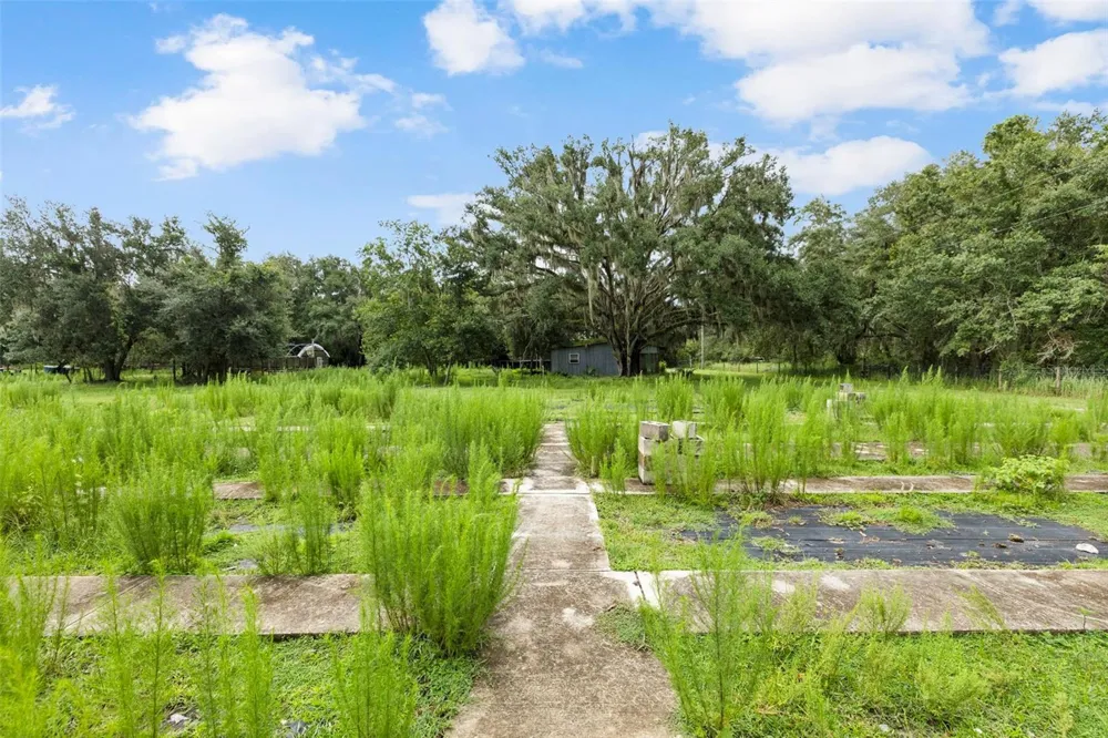 6930 MUCK POND ROAD Seffner, FL 33584