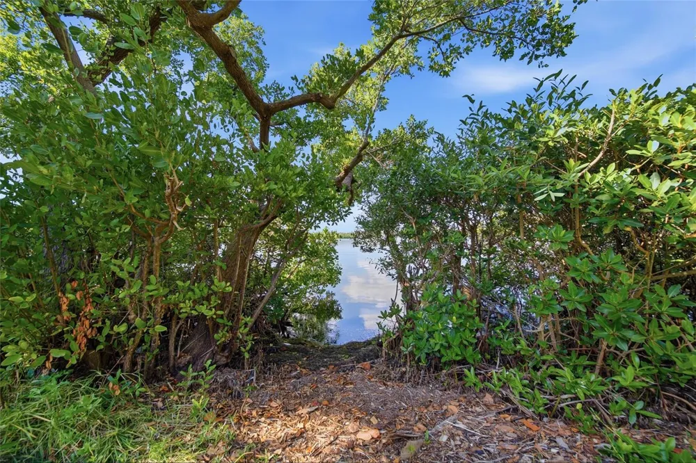 5092 BEACH DRIVE SE #A St Petersburg, FL 33705