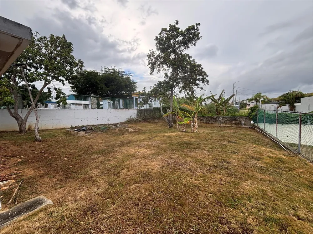 PR 493 BO. CARRIZALES Hatillo, PR 00659