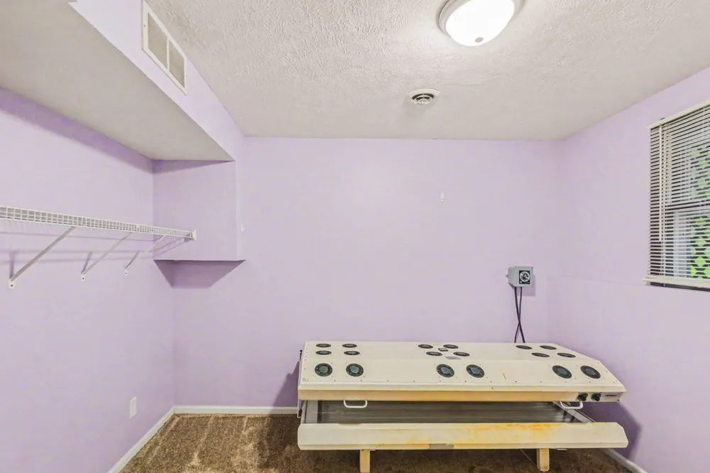 20420 Thornapple Lane Big Rapids, MI 49307