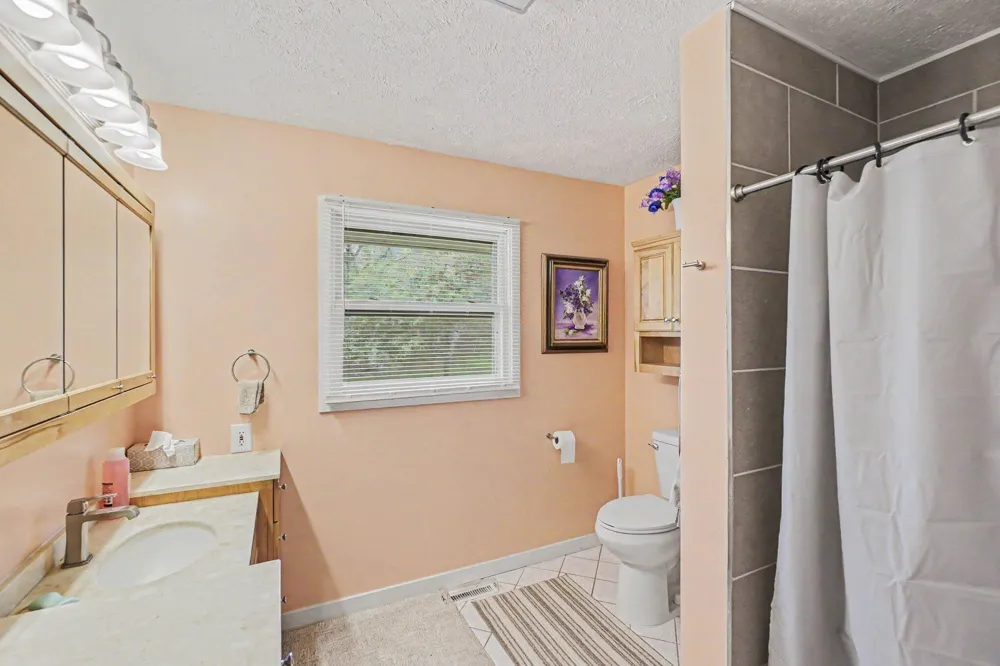 20420 Thornapple Lane Big Rapids, MI 49307