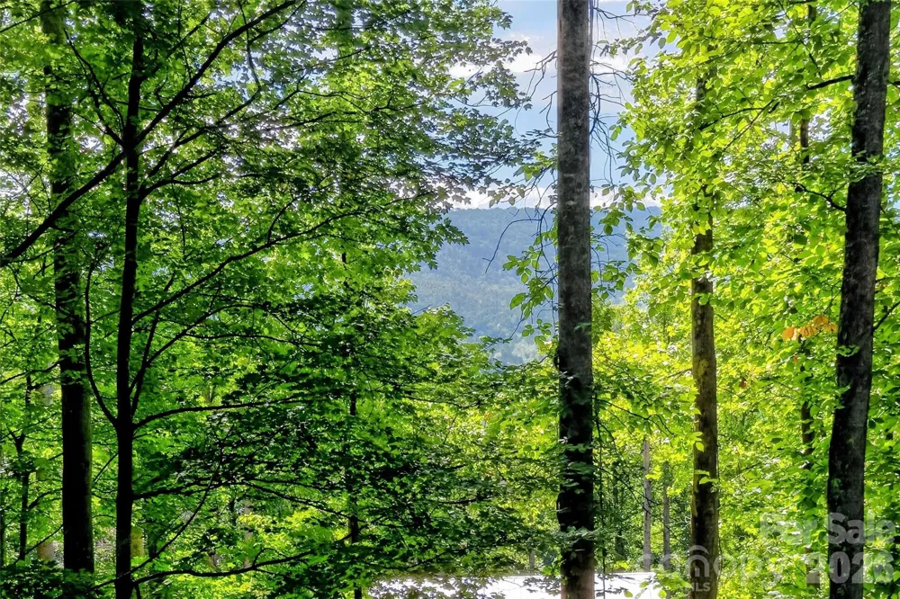 43 Clinchfield Gap Road Marion, NC 28752