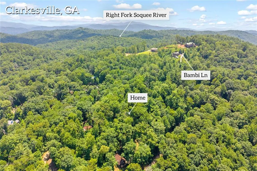 185 Pope Dickson Lane Clarkesville, GA 30523