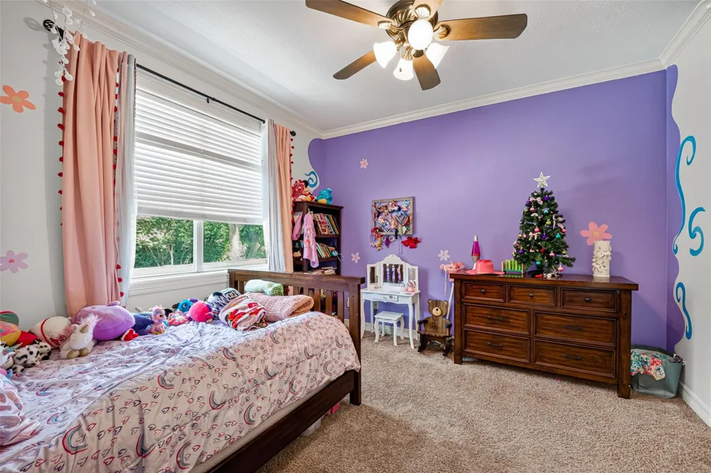 5217 Beech Street Bellaire, TX 77401