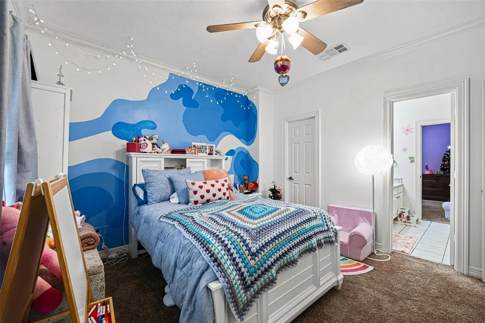 5217 Beech Street Bellaire, TX 77401