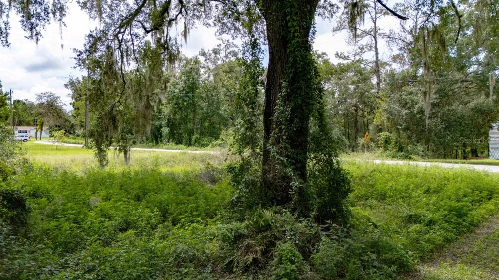 0 RIDERWOOD DRIVE Dade City, FL 33523