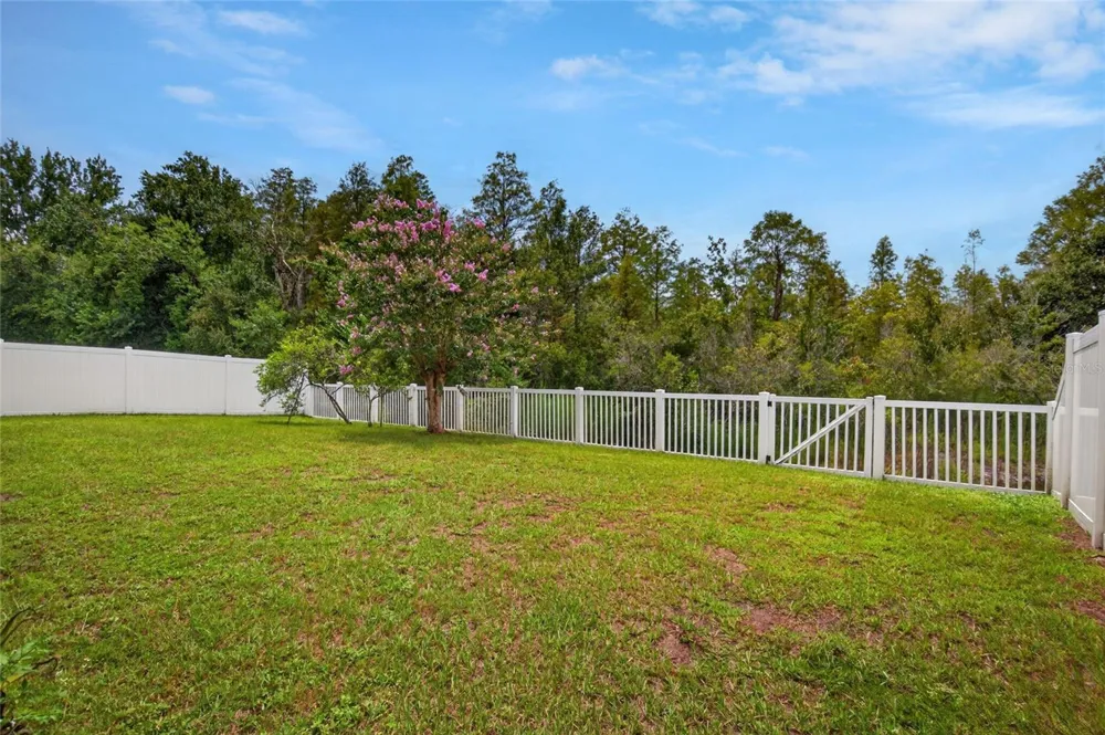 24331 CROSSCUT ROAD Lutz, FL 33559