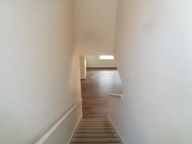 2831 Feather Green Trail Fresno, TX 77545