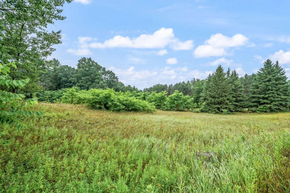 10055 8 Mile Road Evart, MI 49631