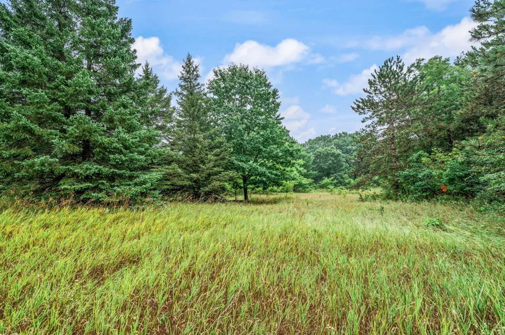 10055 8 Mile Road Evart, MI 49631