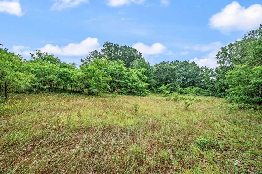 10055 8 Mile Road Evart, MI 49631