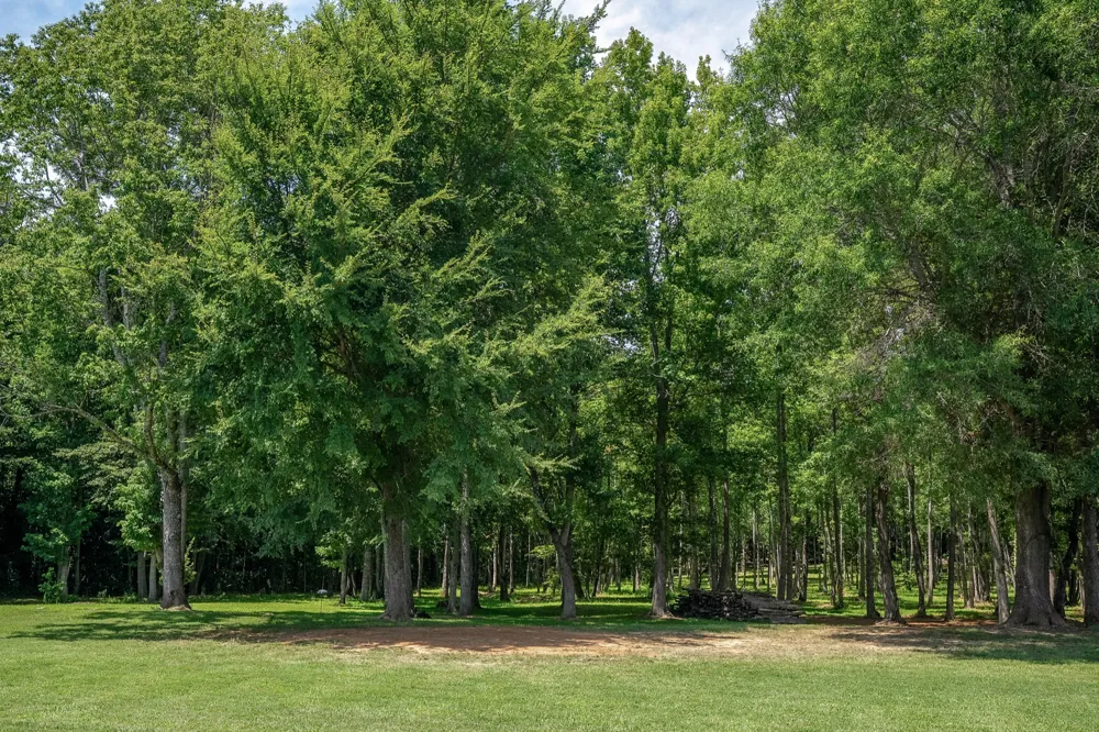 2097 Shellsford Rd McMinnville, TN 37110
