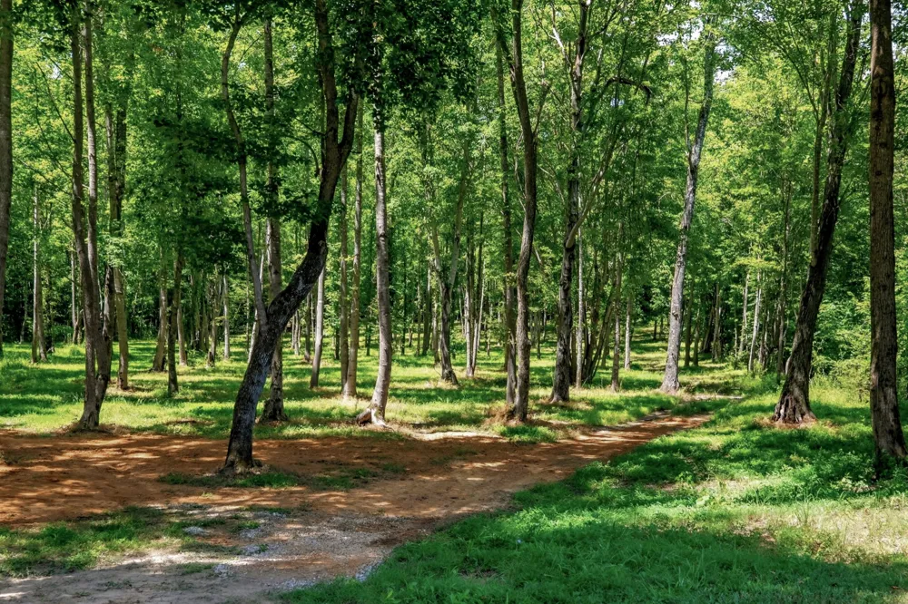 2097 Shellsford Rd McMinnville, TN 37110