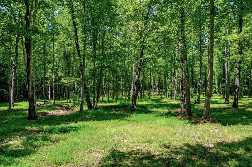 2097 Shellsford Rd McMinnville, TN 37110