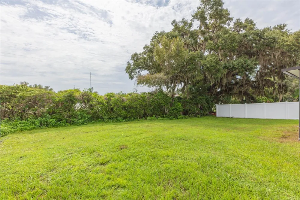 36108 LAGUNA HILLS CIRCLE Zephyrhills, FL 33541