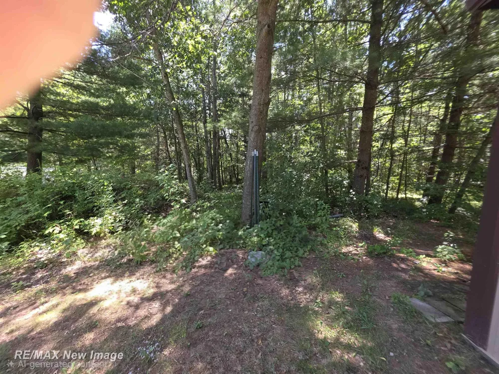 3511 W Monroe Road Lincoln Township, MI 48625