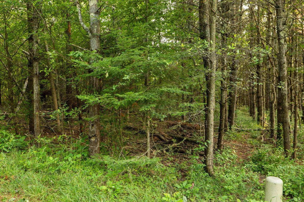 Vincer Way Leelanau Township, MI 49670
