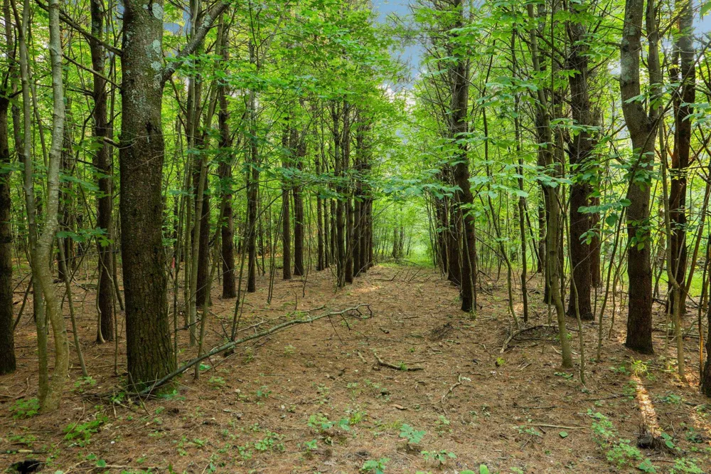 Vincer Way Leelanau Township, MI 49670