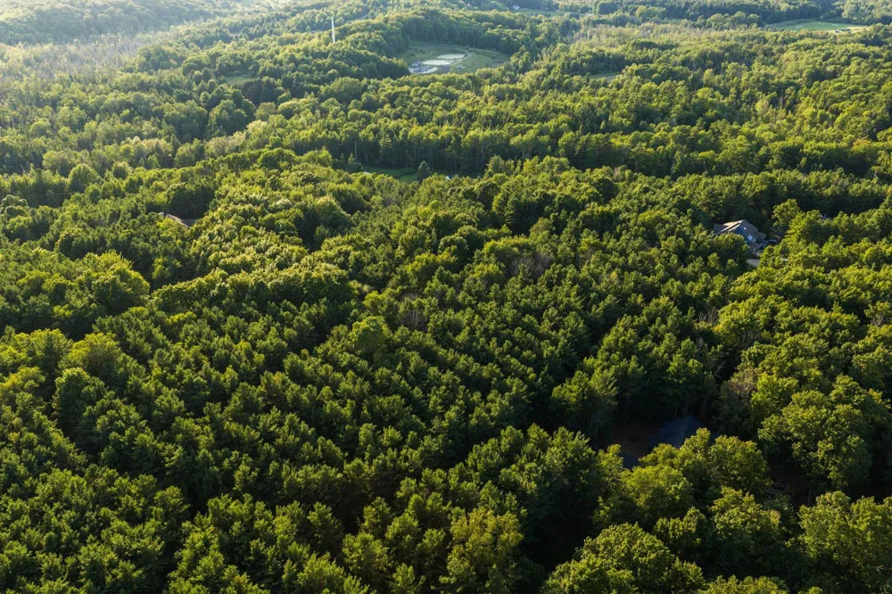 Vincer Way Leelanau Township, MI 49670
