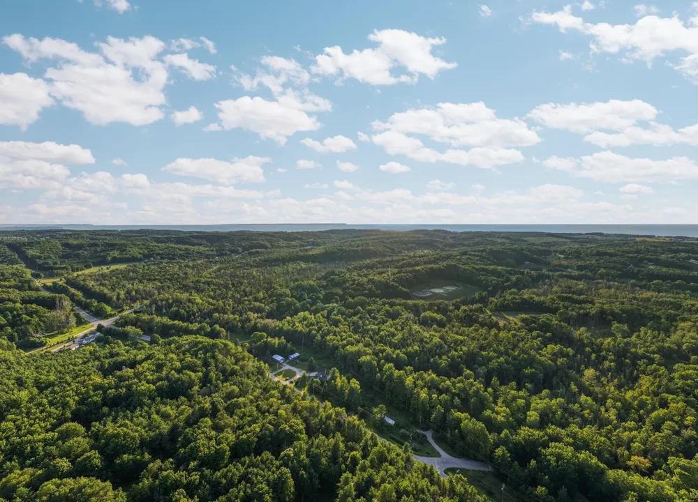 Vincer Way Leelanau Township, MI 49670
